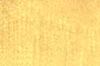 Mayan Gold M9233X