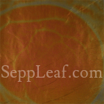 Sunrise Celestial Variegated Leaf @ seppleaf.com @ seppleaf.com