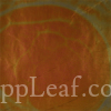  @ seppleaf.com