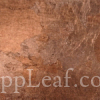  @ seppleaf.com