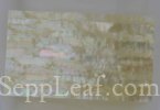  @ seppleaf.com