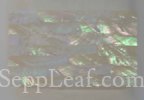  @ seppleaf.com