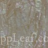  @ seppleaf.com