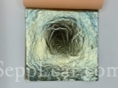  @ seppleaf.com